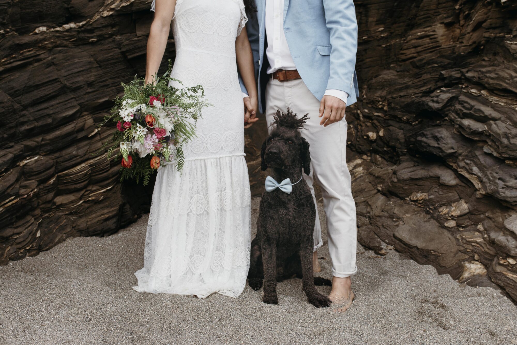 Mascota en matrimonio | Wink Eventos